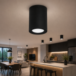 Spot aplicat cilindru LED 15W XL negru Sandra-15 din aluminiu, 1050 lm, lumină naturală 4200K