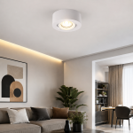 Spot aplicat cilindru LED 5W alb cu 3 temperaturi de culoare montat aparent pe tavan